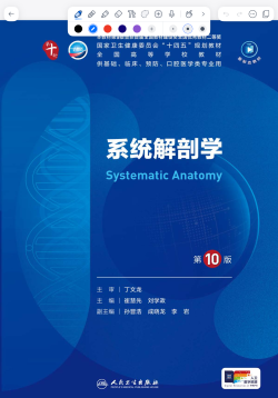 系统解剖学.png